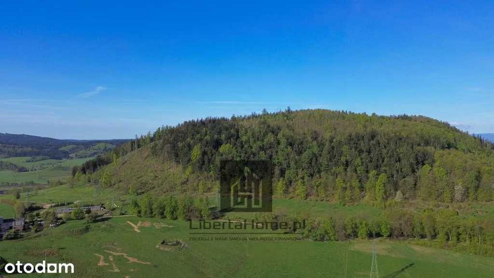 Dzialki budowlane 60zl/m2 Boguszow Chełmie Mniszek bez Prowizji 4367m2