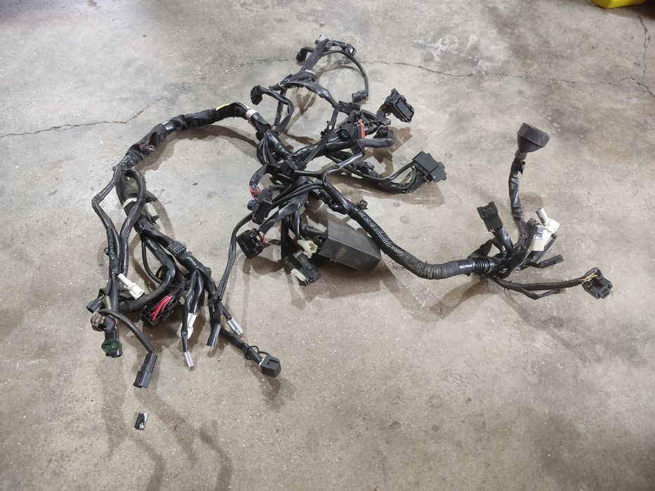 Cabelagem chicote...MT 07