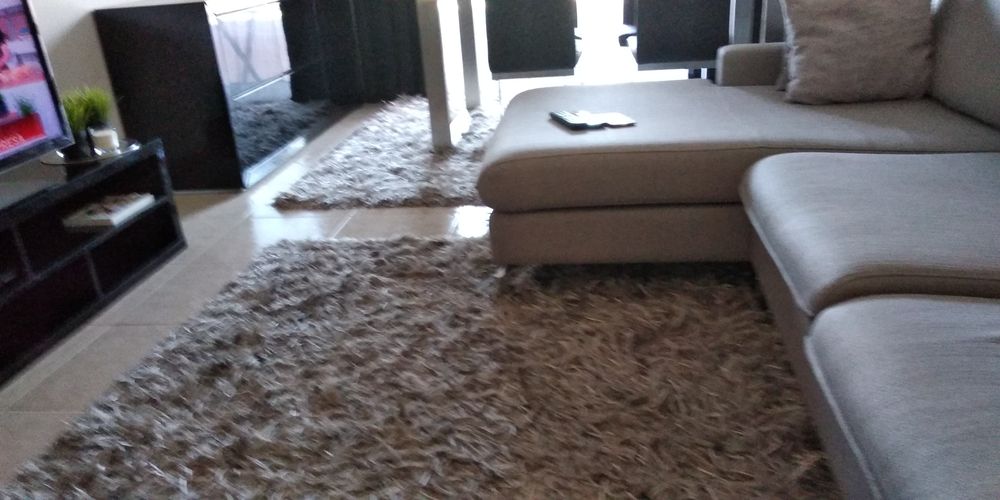 2 carpetes  por 100€