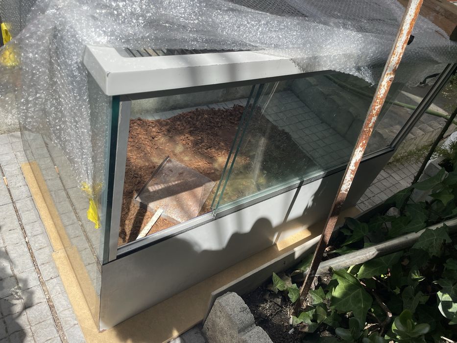 Terrario grandes dimensoes