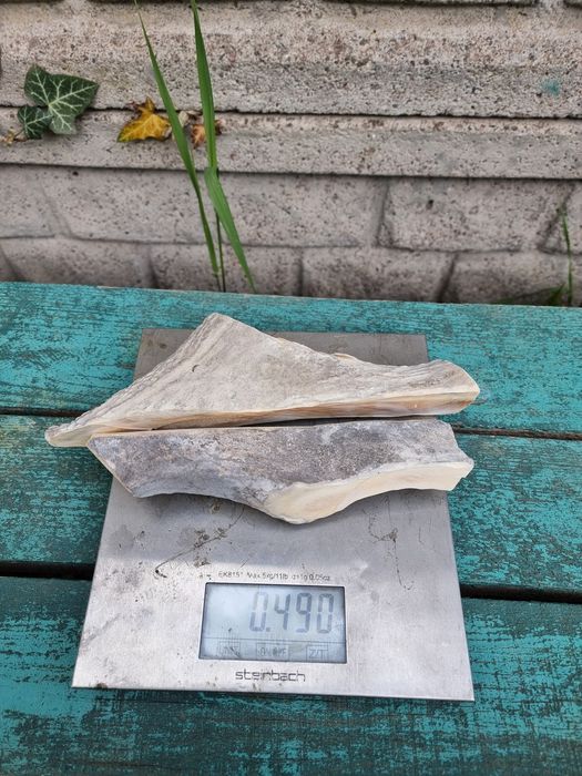 лакомство для собак рога оленя.(Свіжі)