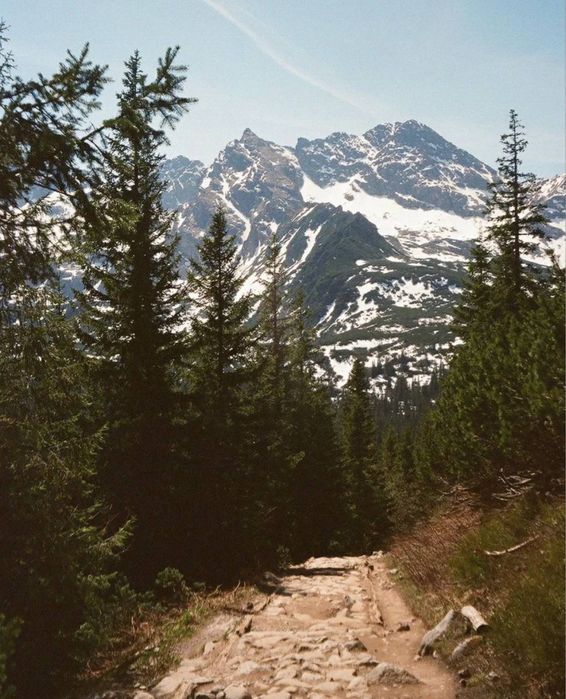 Olympus Go 100  плівковий фотоапарат