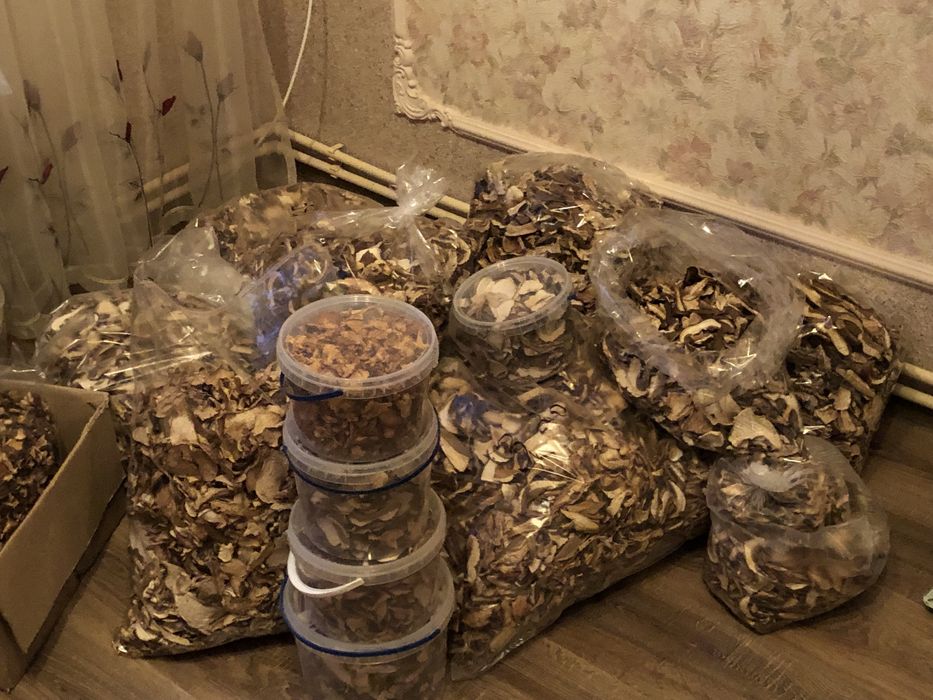 Продам сушені та консервовані гриби
