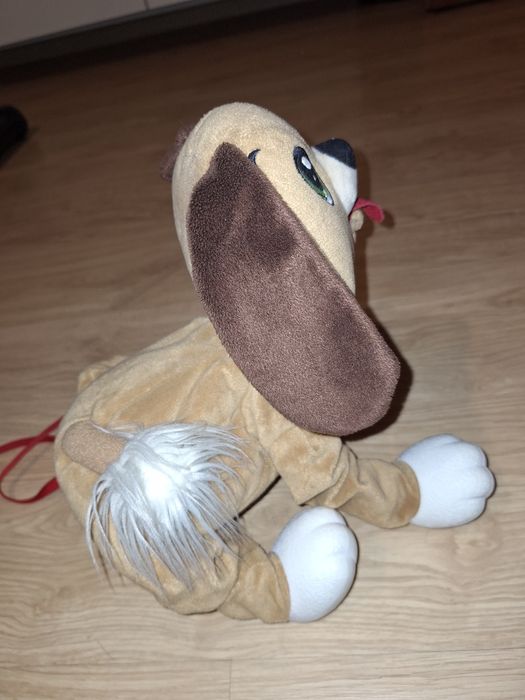 Piesek maskotka Boogie