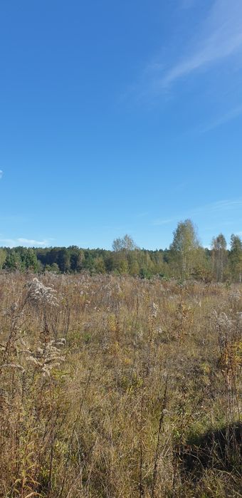 Продається земельна ділянка 12 сот біля річки в Денишах – місце, де природа надихає!