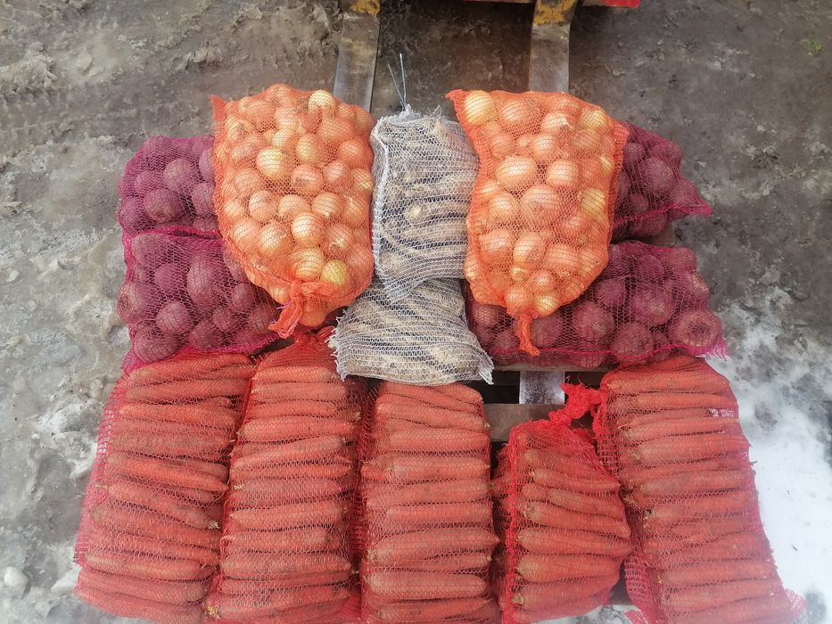 5 kilo marchwi 5 kilo pietruszki 15 ziemniaki od rolnika wysyłka inpos