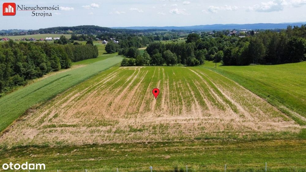 Sławkowice gmina Biskupice działka budowlana 13a - Widok 6
