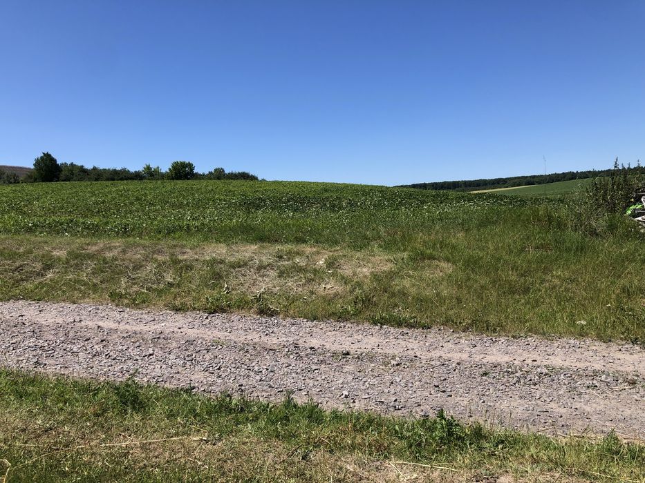 Продам ділянку неподалік Луцька