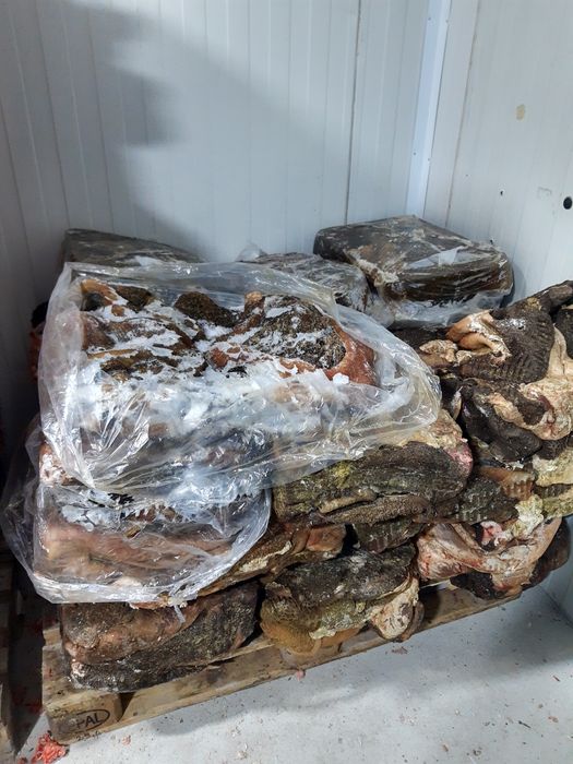 желудок рубец говяжий