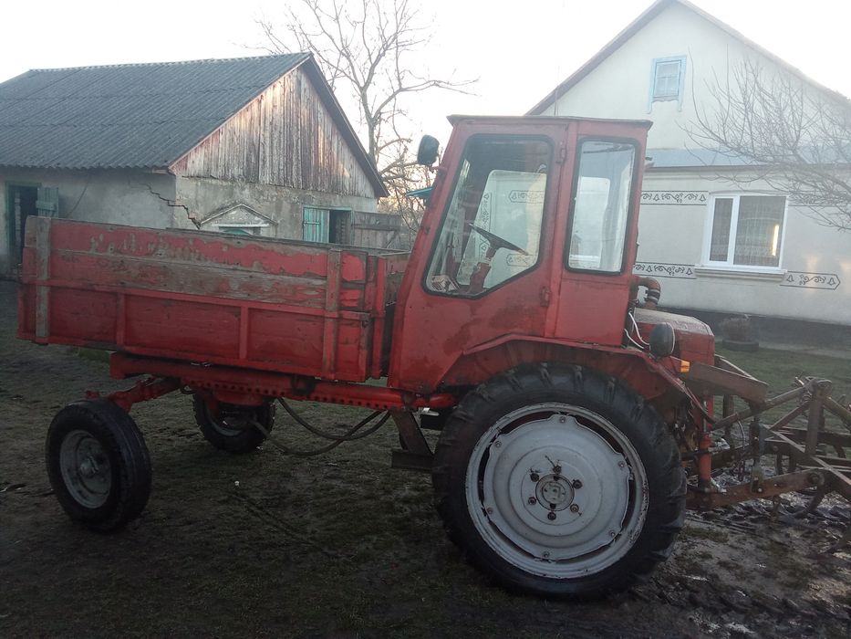 Трактор Т16 продам
