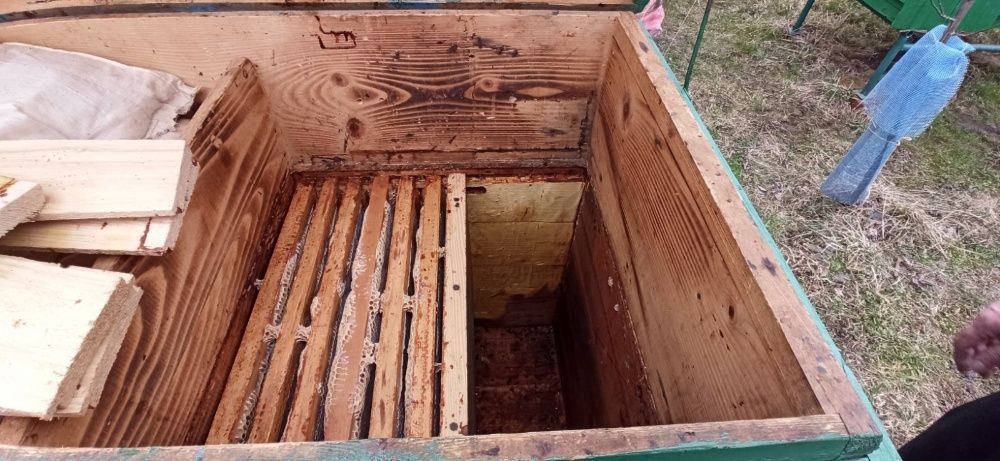 Вулик лежак Дадан