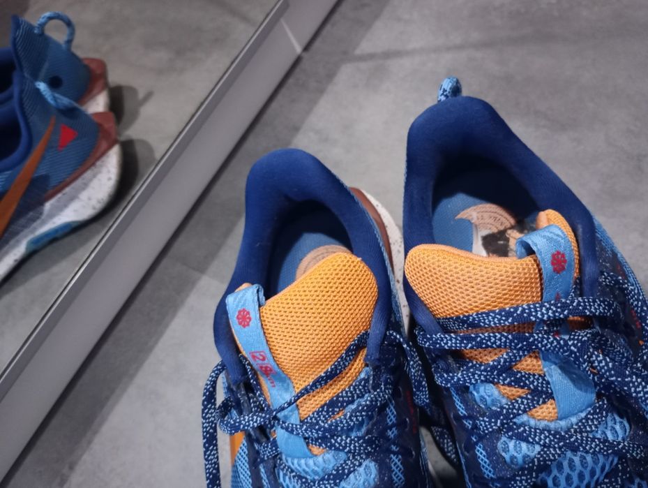 Nike Pegasus Trail 5