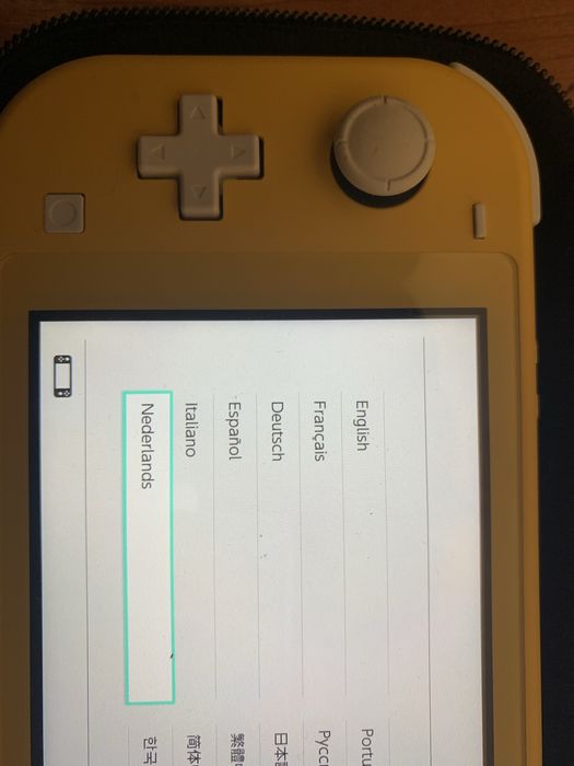 Nintendo switch lite