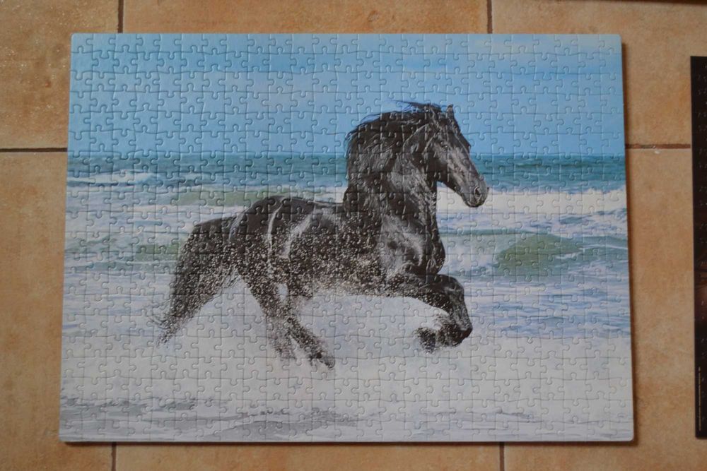 Vários puzzles 500pcs montados