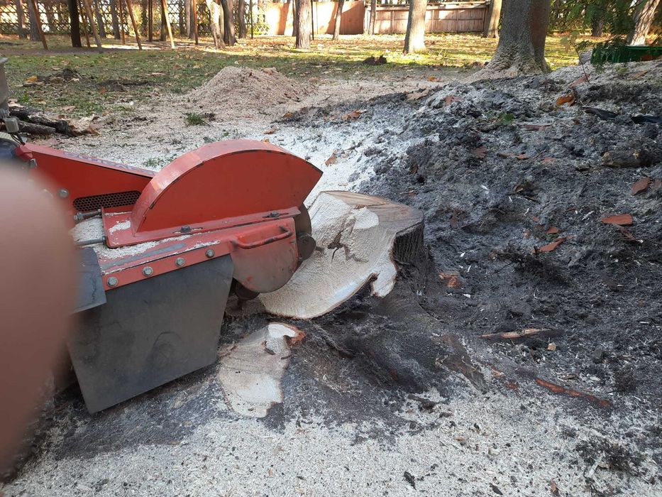 Usługi rębakiem, frezowanie korzeni, porządkowanie działek