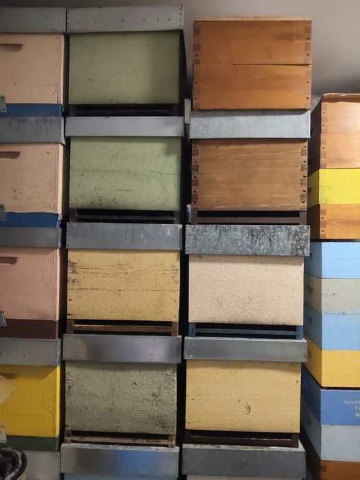 Colmeias, prensa, meias alças, quadros, arpas, painel solar entre muito outros materiais apícolas