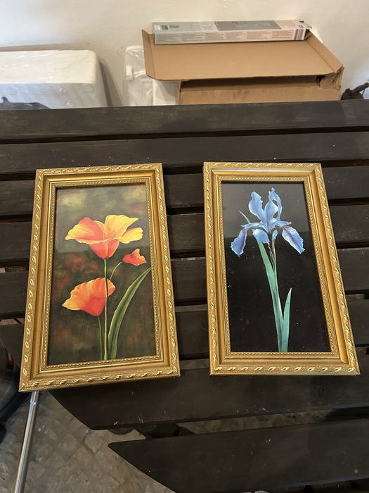Par de Quadros Botânicos Vintage Dourados