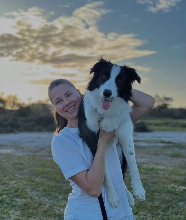 Продам собаку породи бордер-колі