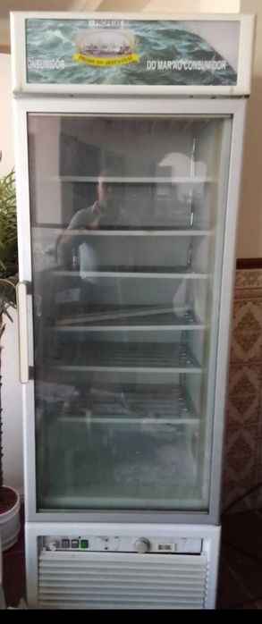 Congelador vitrine em oliveira de Azeméis