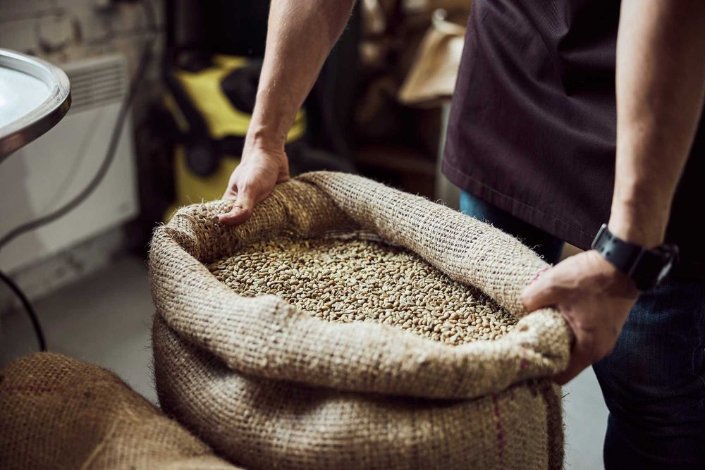 Zielona Kawa Robusta Hurtowo 500 kg | Surowiec do Palenia