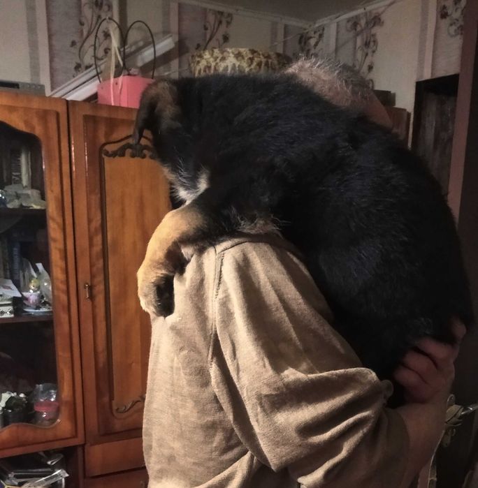 Крупные девочки и мальчики стандарт.