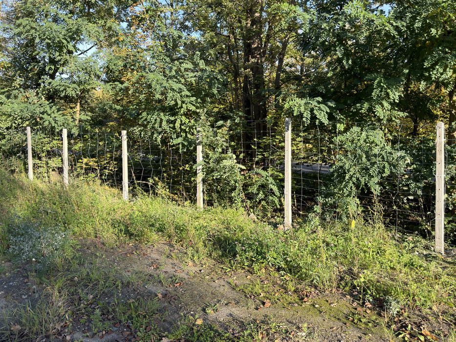 Dzialka 1666m2  w miejscowości Korytów A Żyrardów