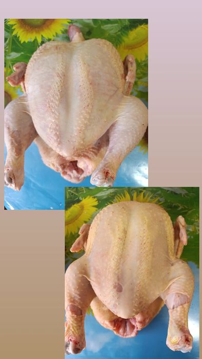 Тушка бройлера домашнього