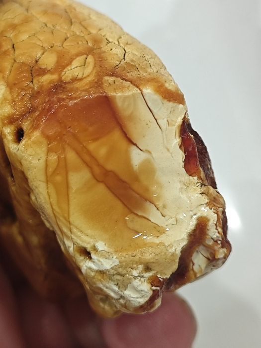 Zajmujemy się skupem bursztynu bałtyckiego znalezionych bryłkę na żwir