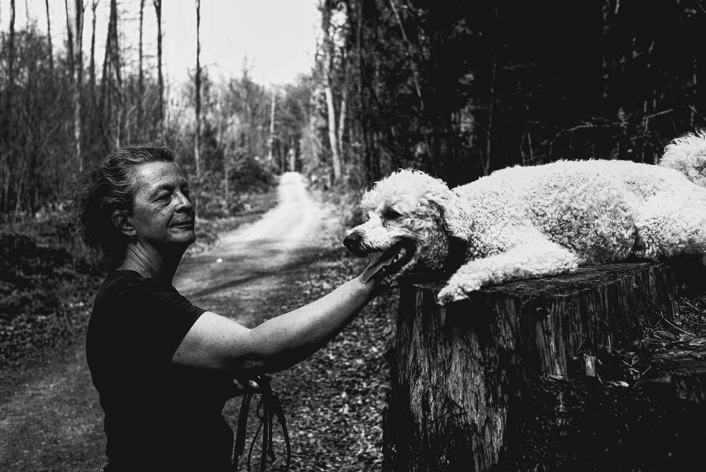 Pentax MV легка компактна дзеркалка