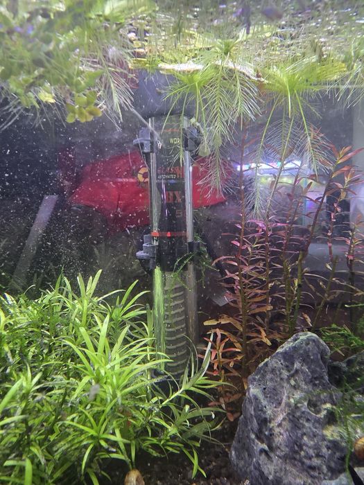Vendo aquario 10 litros