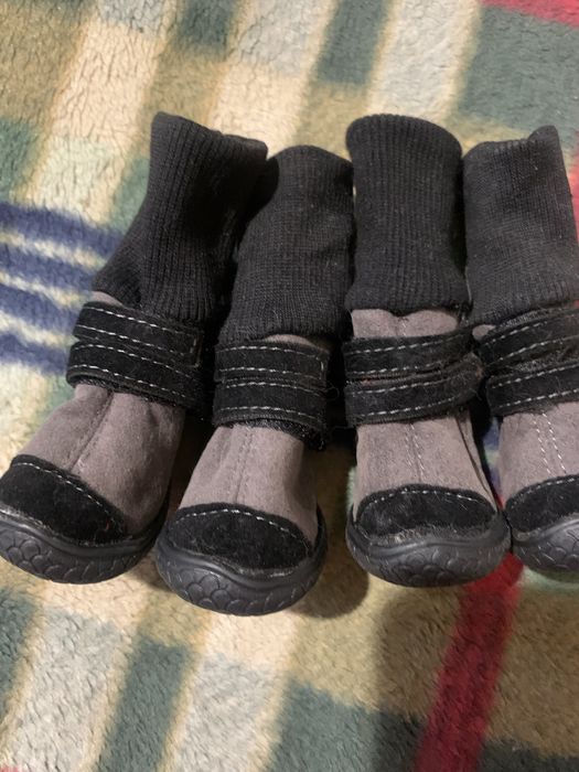 Сапожки для собачки