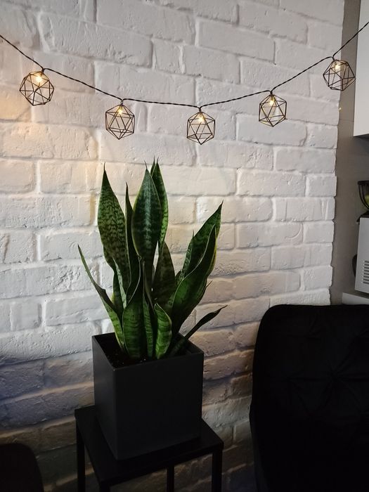 Girlanda łańcuch świetlny home&you nowy