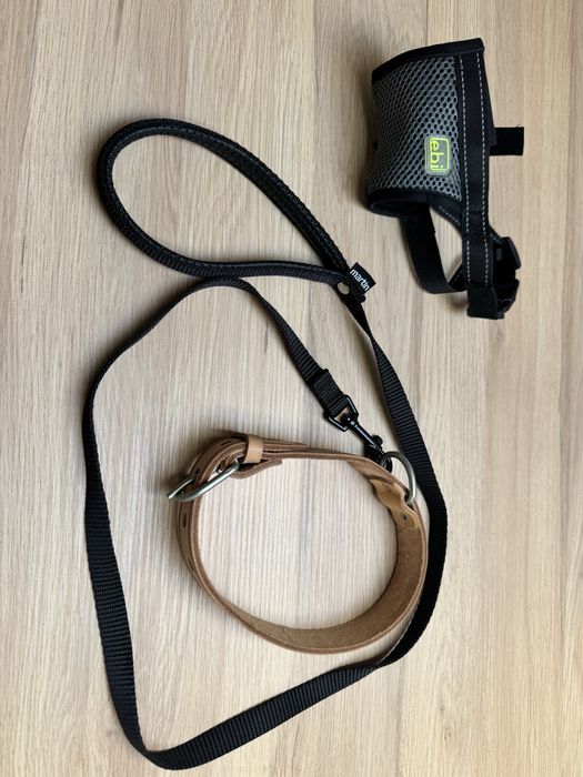 Coleira para cão em exelente estado