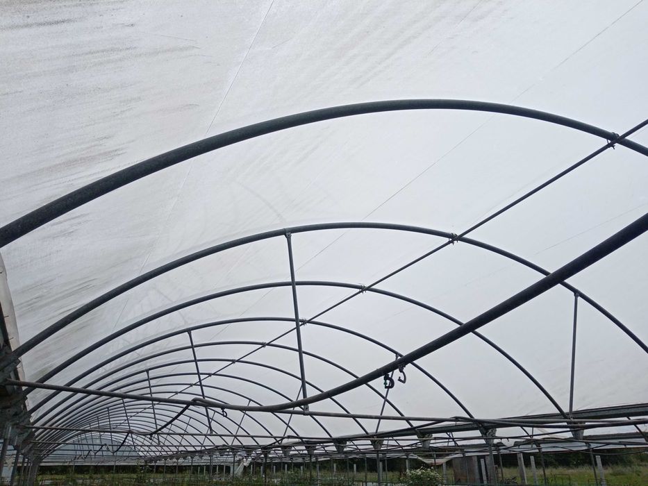 Estufa agrícola usada