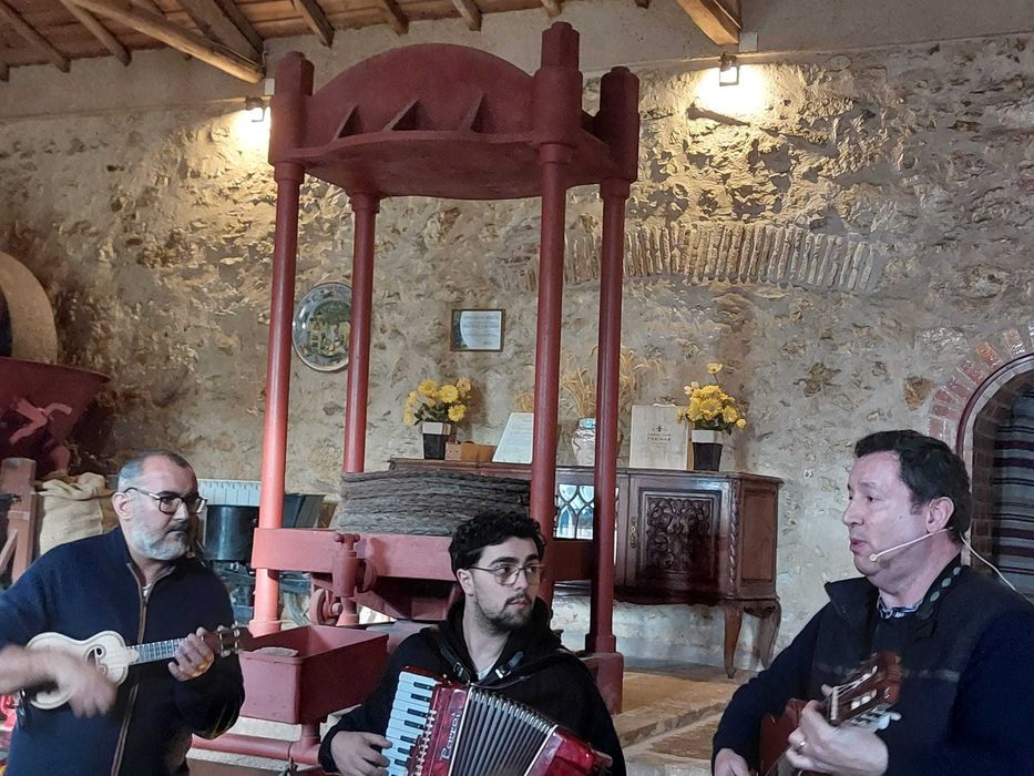 Música ao Vivo / Banda Musical