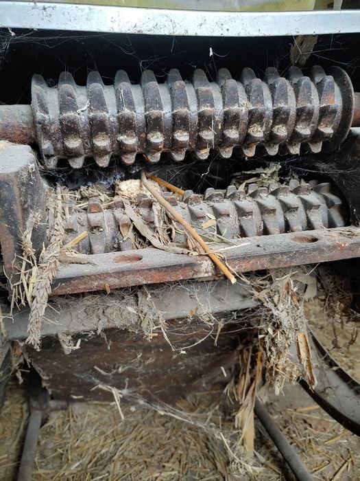 Sieczkarnia do kukurydzy