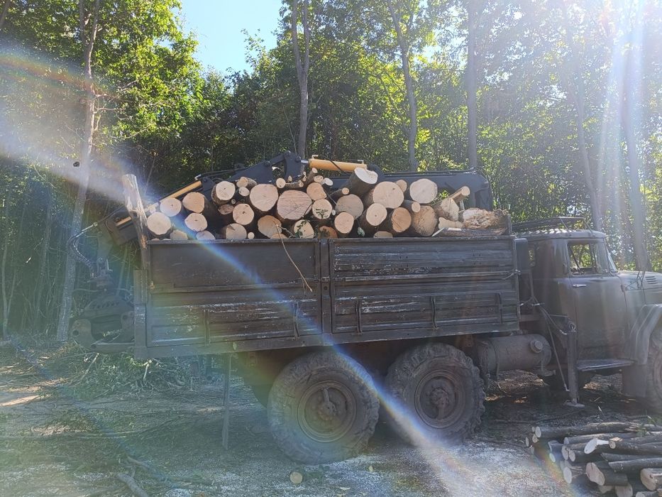 продам     дрова