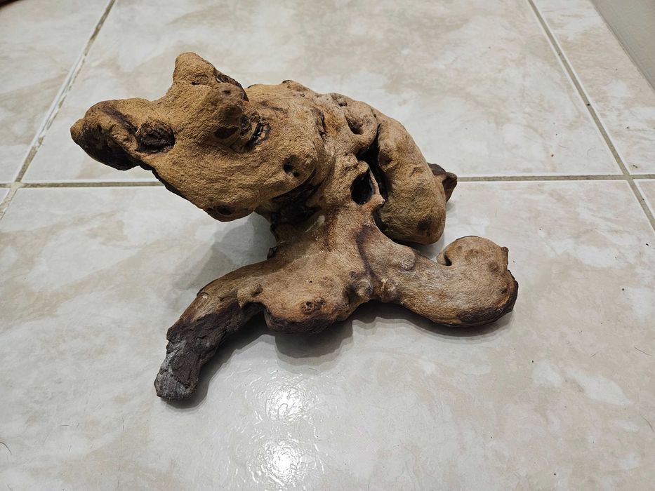 Diverso Material RÉPTEIS