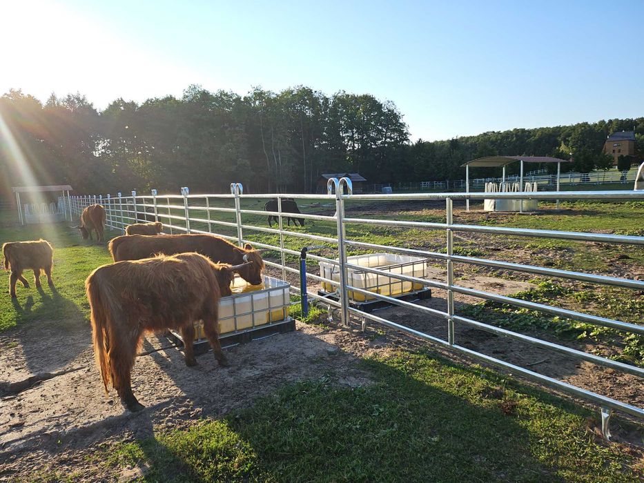 panele wygrodzeniowe dla bydła, texas panel, płoty, przegrody