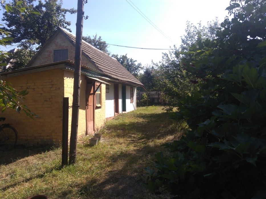 Продам дачу с. Голубівка