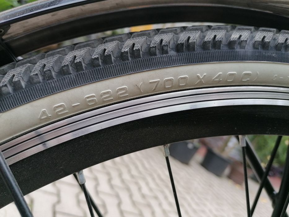 Rower Kands - Alfa City