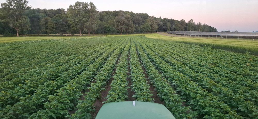 Grunt orny lub inwestycyjny np pod fotowoltaikę