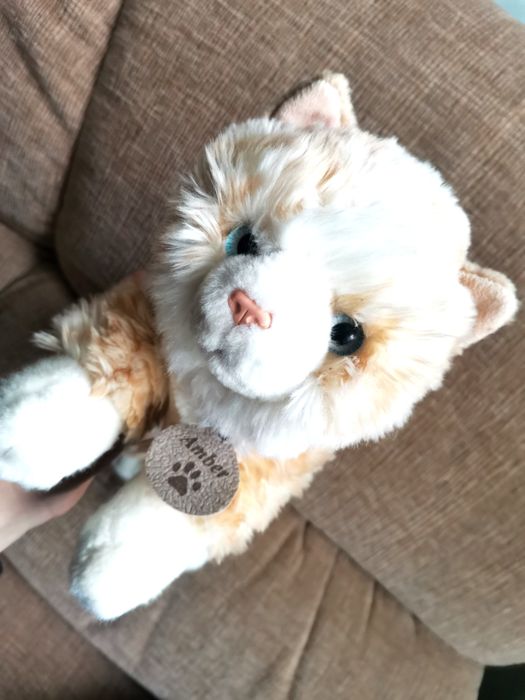 Кошка кицька подарунок до Дня закоханих