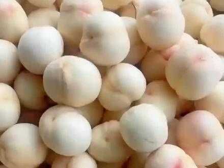Pessegueiro que dá pêssegos BRANCOS deliciosos