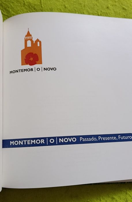 Livro LEVANTADO DO CHÃO  ( Montemor-o-Novo )
