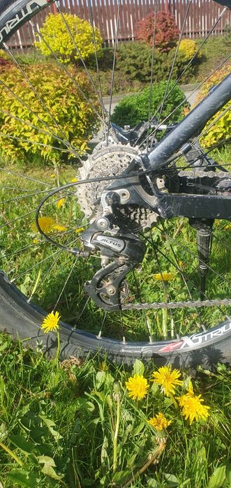 Rower Monster MTB 26 Dirt