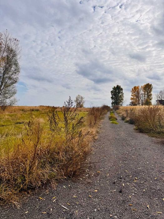 Продаж будинку на березі Київського моря, Козаровичи без %