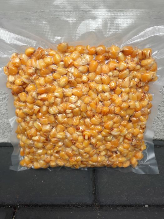Kukurydza gotowana fermentowana 1 kg Gotowa zanęta na ryby!
