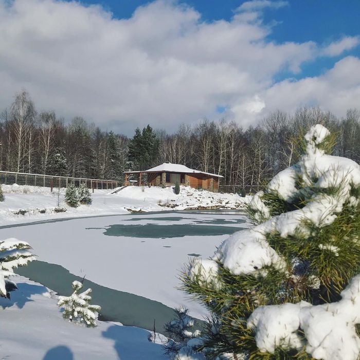 Дом в лесу на озере с камином под Киевом. Всегда есть свет и интернет.