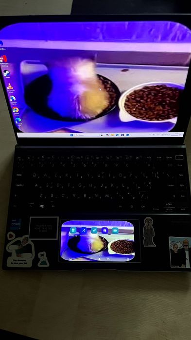 asus zenbook 14 oled touch